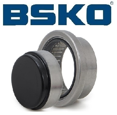 بلبرینگ DB68933/NE68934- چرخ عقب پژو 405 - بسکو